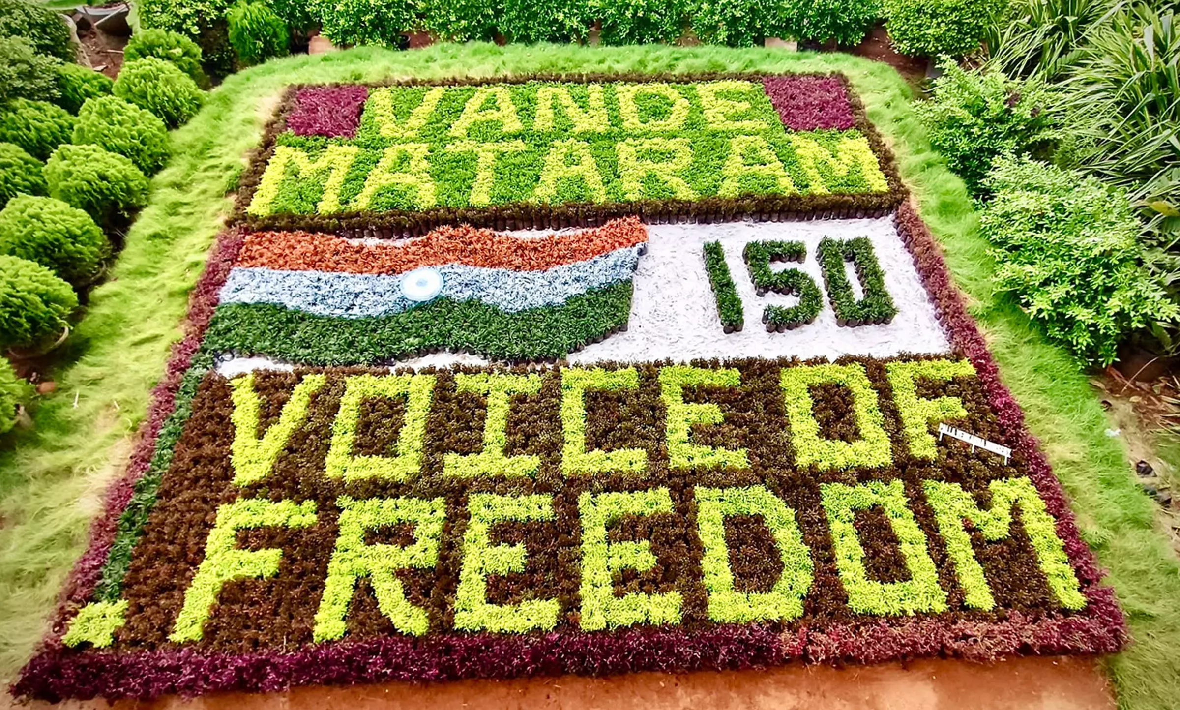 85,000 Plants Spell Out ‘Vande Mataram’ in Kadiyam Nursery 85,000 Plants Spell Out ‘Vande Mataram’ in Kadiyam Nursery
