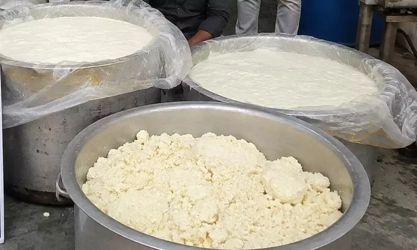 Food Safety Raids: Unauthorised Unit Seized, 6 Kg Khova, 1,000 Kg Curd Seized Food Safety Raids: Unauthorised Unit Seized, 6 Kg Khova, 1,000 Kg Curd Seized