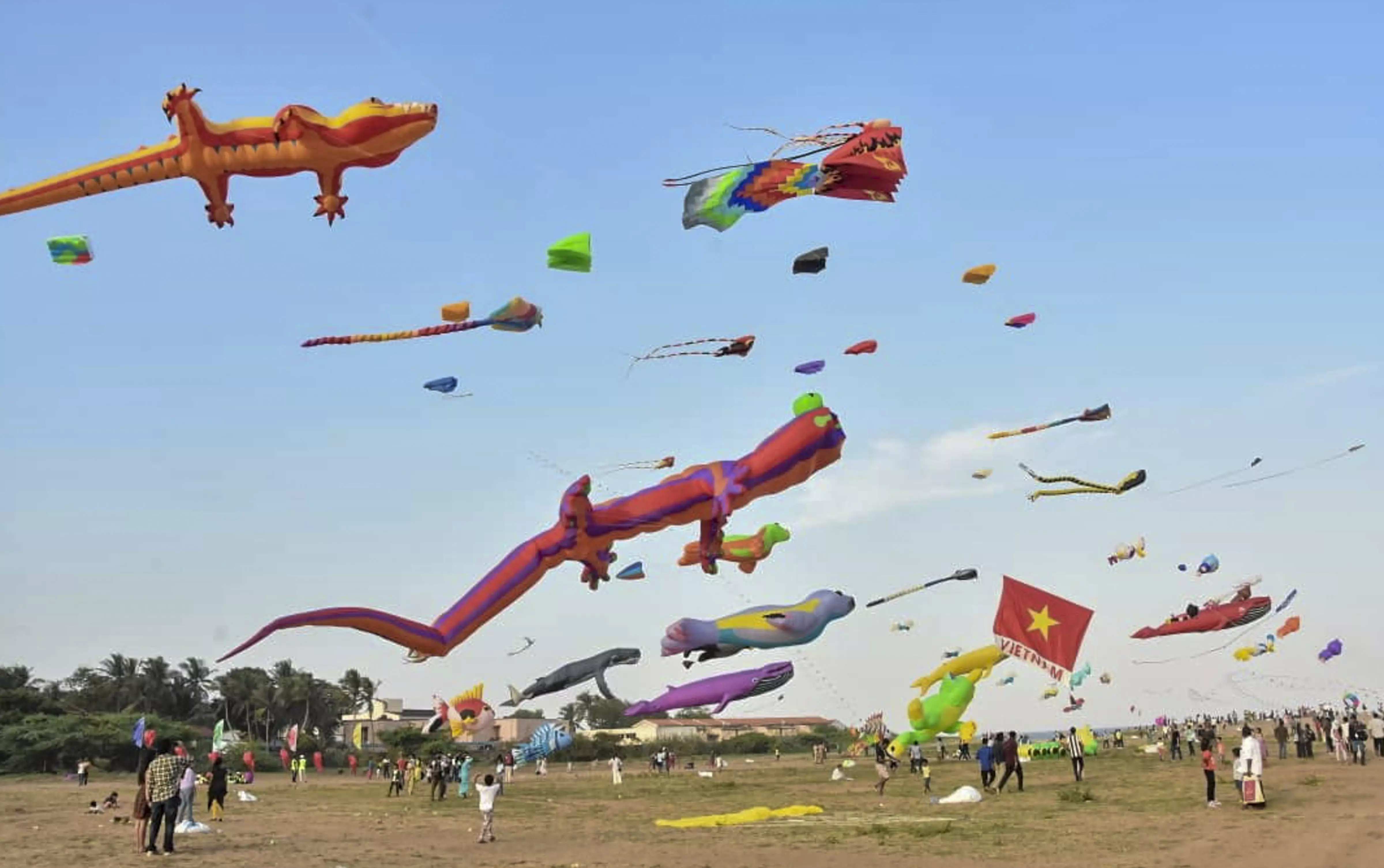 Over 40,000 People Attend Kite Festival in Mamallapuram Over 40,000 People Attend Kite Festival in Mamallapuram