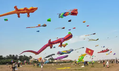 Over 40,000 People Attend Kite Festival in Mamallapuram Over 40,000 People Attend Kite Festival in Mamallapuram