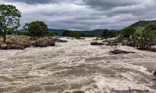Cauvery Water Row: SC Asks Karnataka to Follow CWMA Direction