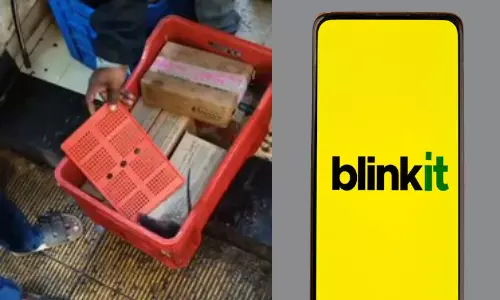 Rat Found in Blinkit Ice Cream Freezer in Thane, Sparks Food Safety Alarm Rat Found in Blinkit Ice Cream Freezer in Thane, Sparks Food Safety Alarm