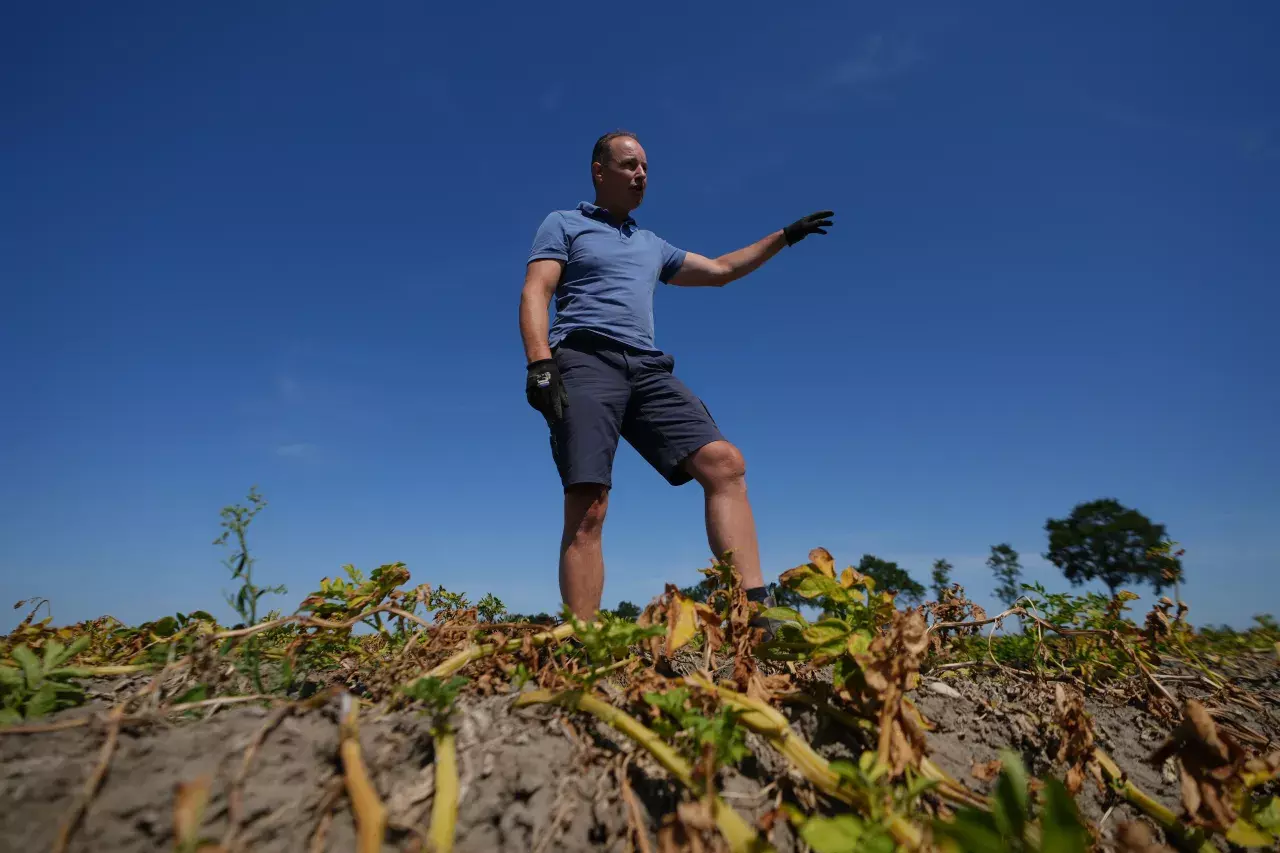 A Punishing European Drought For Farmers; Shrivels Continent Crops A Punishing European Drought For Farmers; Shrivels Continent Crops