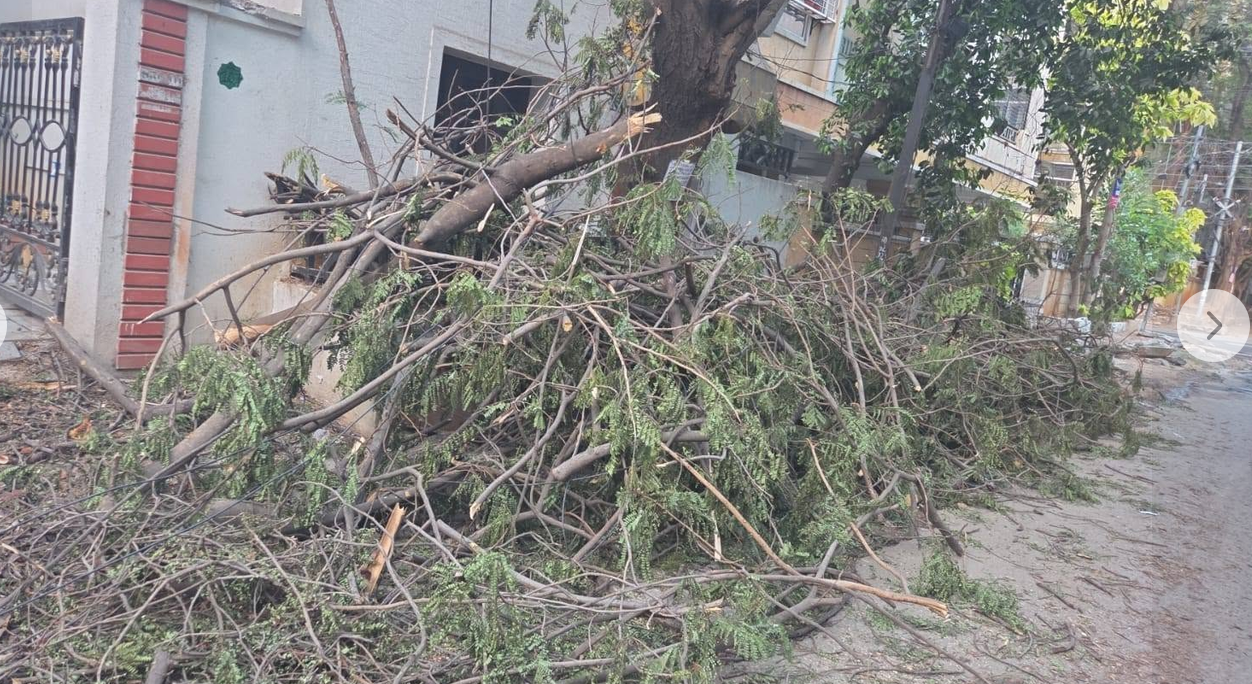 Tree-Trimming Debris Angers Residents