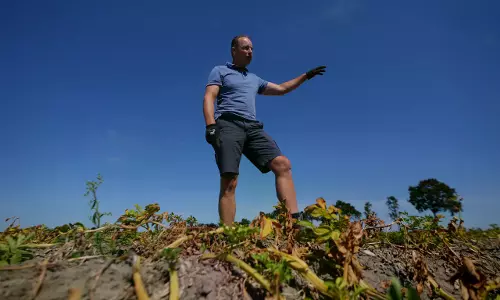 A Punishing European Drought For Farmers; Shrivels Continent Crops