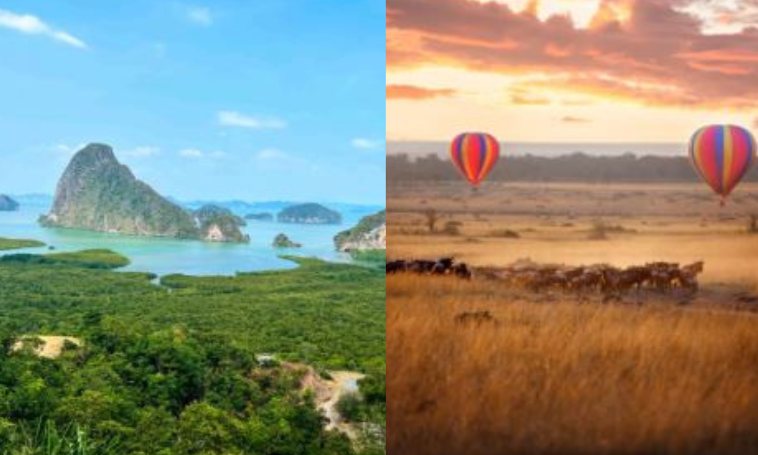 World Photography Day: Picture-Perfect Picks