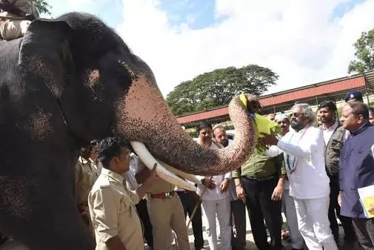 Khandre Urges Grand Dasara Farewell for Elephant Abhimanyu Khandre Urges Grand Dasara Farewell for Elephant Abhimanyu