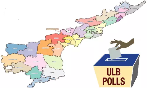 Andhra SEC Halts Polls in 100 ULBs after SC orders
