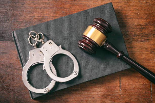 NIA Court Rejects Bail Plea of Pulwama Attack Accused Insha Jan