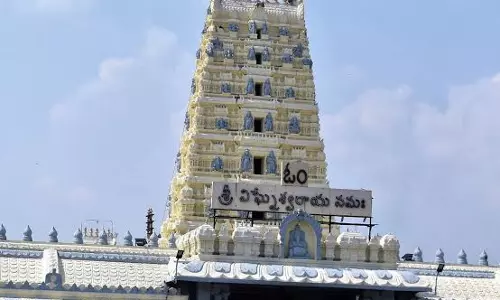 Coordinated Arrangements Planned for Kanipakam Brahmotsavams