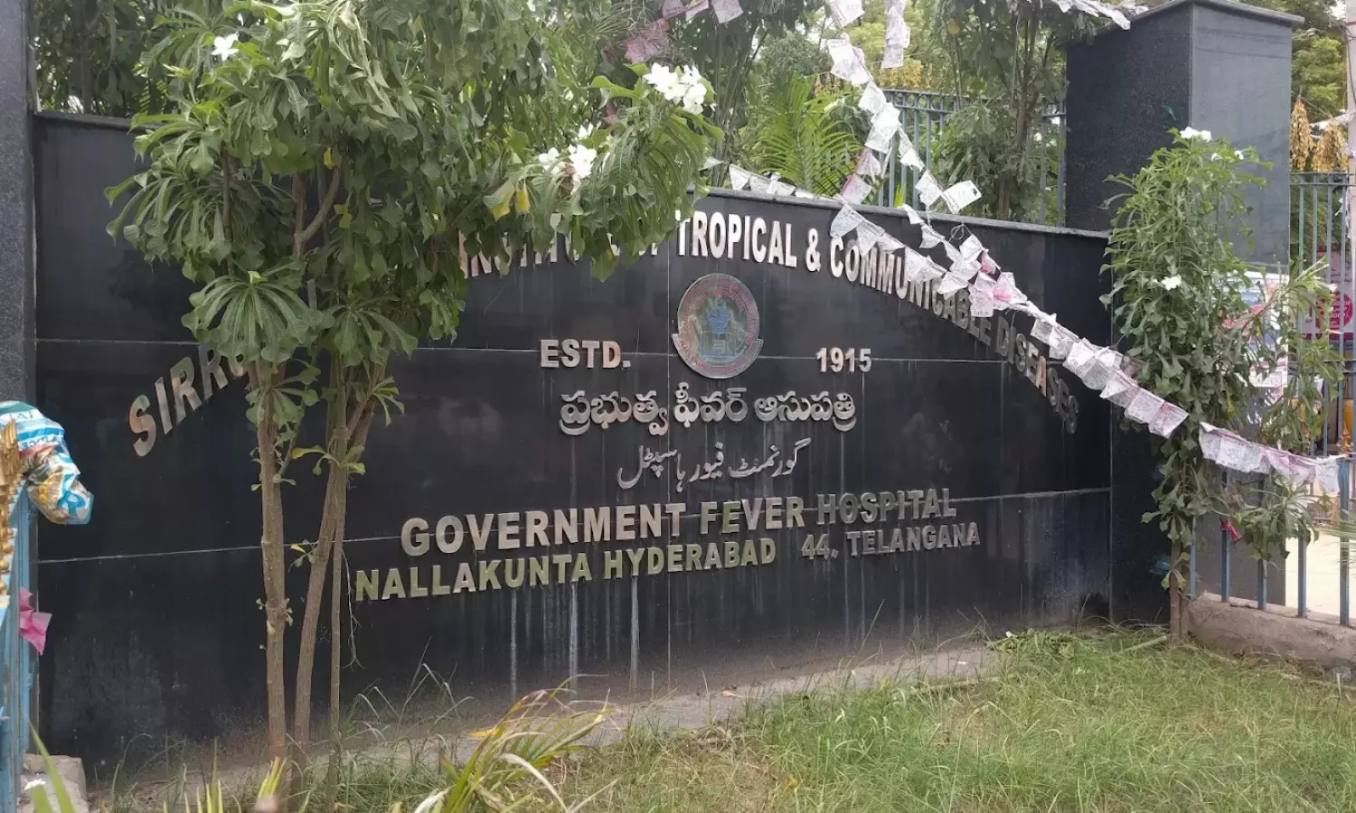 H1N1 Cases Rise: Fever Hospital Sees 500 Outpatients a day H1N1 Cases Rise: Fever Hospital Sees 500 Outpatients a day