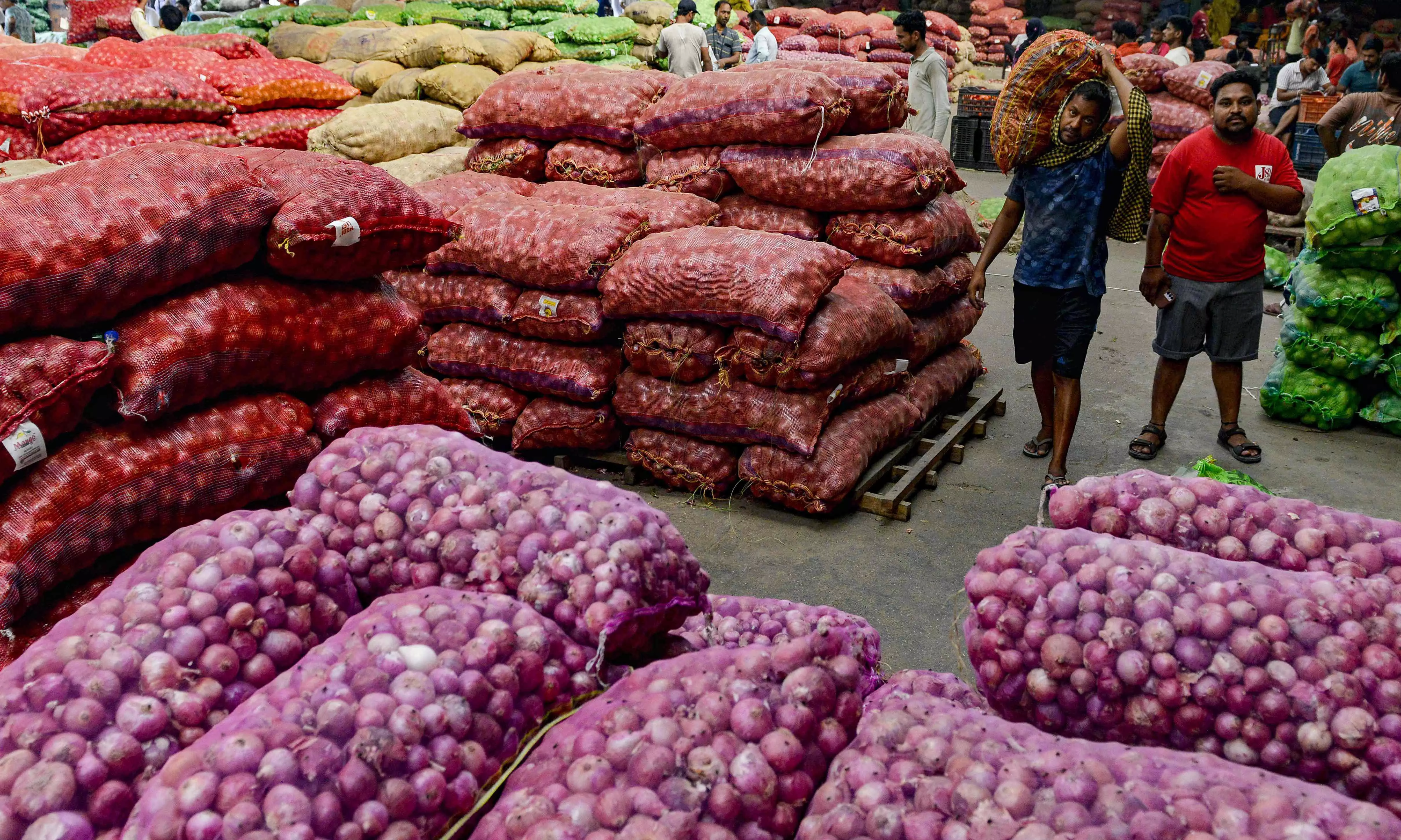 Onion Prices Surge 59% in August; Centre Starts ‘Kanda Express’ Rakes Onion Prices Surge 59% in August; Centre Starts ‘Kanda Express’ Rakes