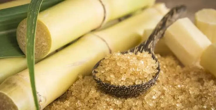 Despite Duty-free Imports, Sugar Prices To Remain Elevated Despite Duty-free Imports, Sugar Prices To Remain Elevated