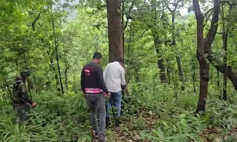 AK-47, IED Among Huge Cache Of Arms Recovered From Maoist Dump In Odisha AK-47, IED Among Huge Cache Of Arms Recovered From Maoist Dump In Odisha