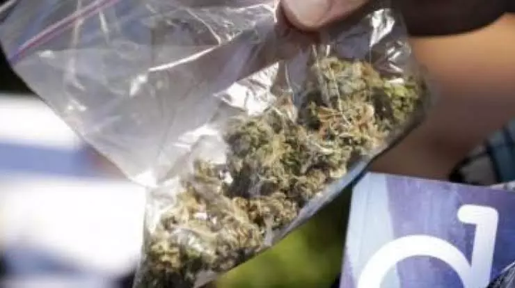 Hyderabad: Minor Held With 48 Kg Ganja Hyderabad: Minor Held With 48 Kg Ganja