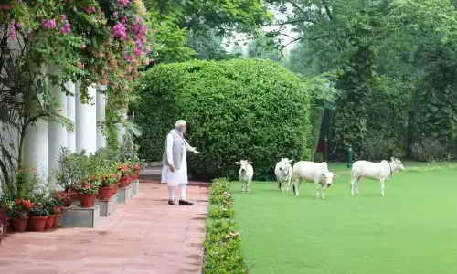 Congress, CJP, AAP Slam Union Ministers’ Rs 92 Cr Bungalow Upkeep