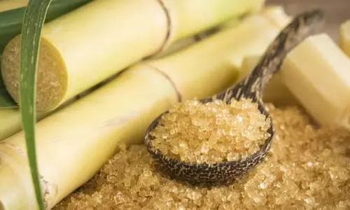 Despite Duty-free Imports, Sugar Prices To Remain Elevated