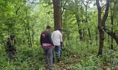 AK-47, IED Among Huge Cache Of Arms Recovered From Maoist Dump In Odisha AK-47, IED Among Huge Cache Of Arms Recovered From Maoist Dump In Odisha