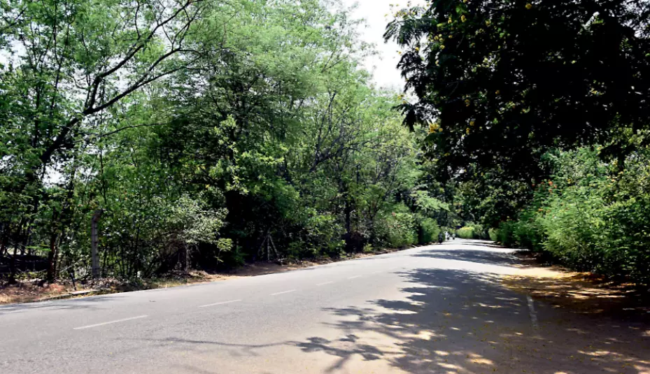 Hot Morning, Rains Likely Across Telangana Tonight