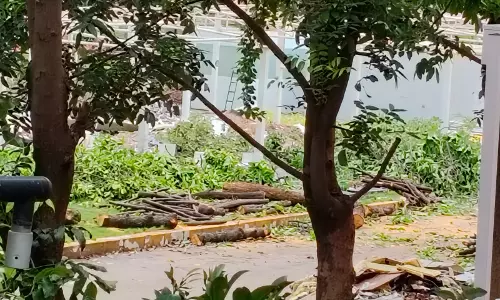 Residents Cry Foul As HMDA Chops Trees At Paigah Palace