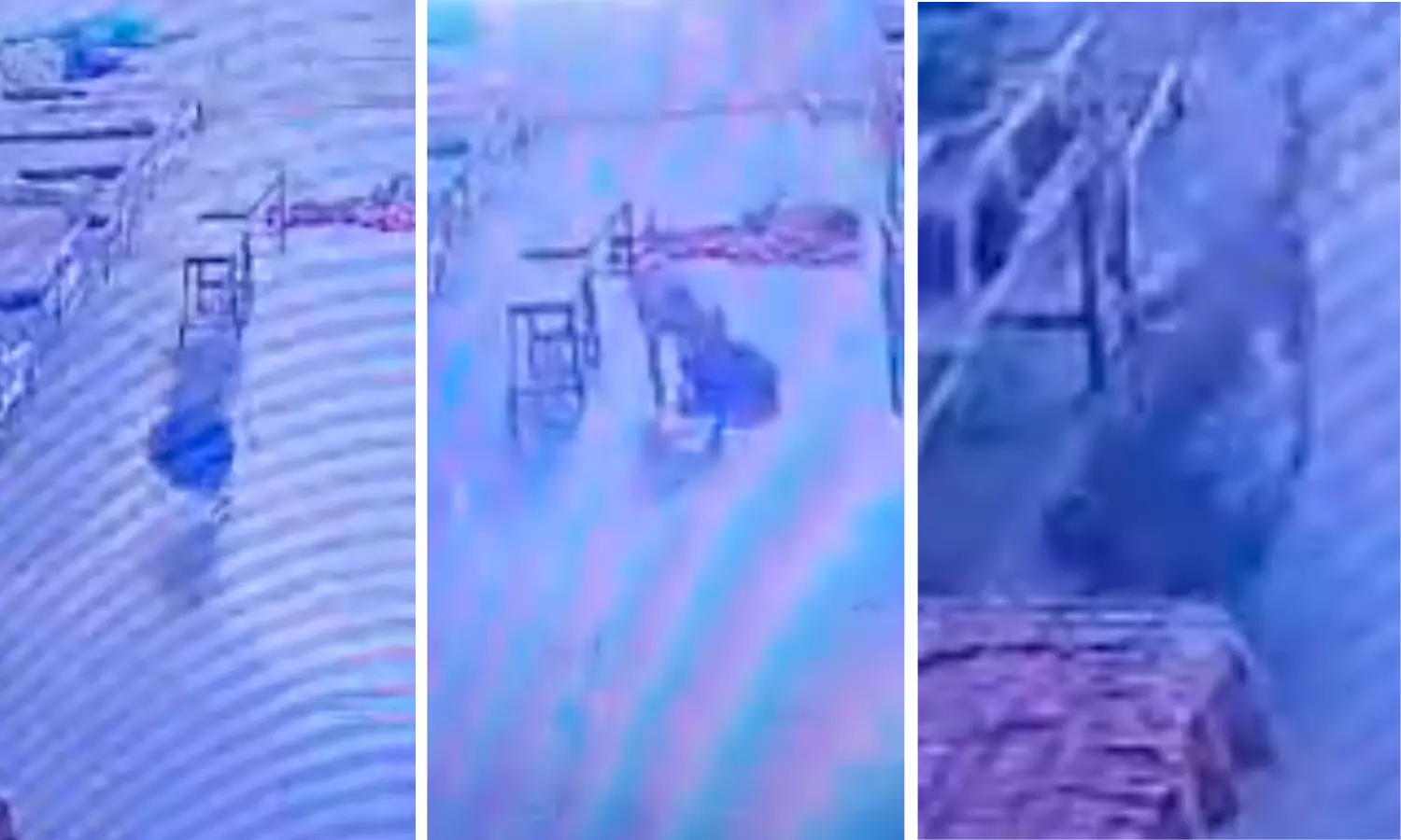 Stray Dog Steals Rs 4 Lakh Jewellery Bag From MP Hospital Stray Dog Steals Rs 4 Lakh Jewellery Bag From MP Hospital