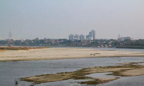 El Nino Effect: Hot, Humid Weather Likely in Telangana For Next 10 Days El Nino Effect: Hot, Humid Weather Likely in Telangana For Next 10 Days