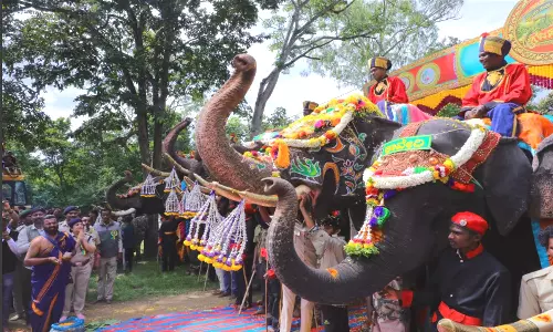 Nine Jumbos Arrive In Mysuru For Dasara Festivities Nine Jumbos Arrive In Mysuru For Dasara Festivities