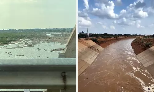 Rayalaseema Farmers Face Water Crisis as Crops Wither Rayalaseema Farmers Face Water Crisis as Crops Wither