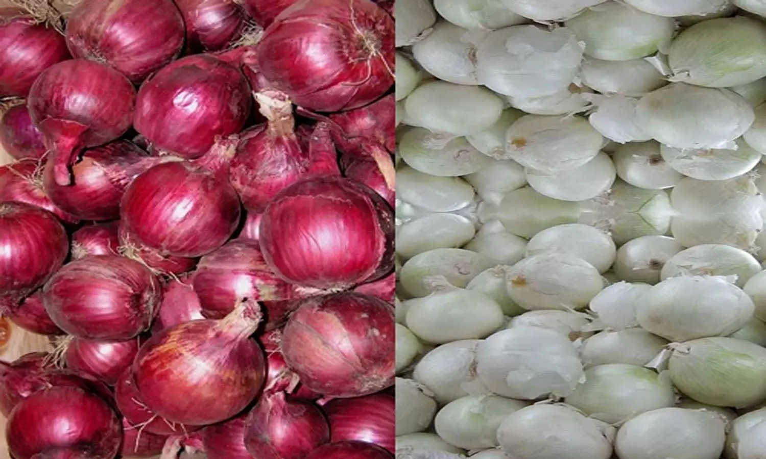 Onion Prices Soar In Telangana, Centre Rolls Out Kanda Express Onion Prices Soar In Telangana, Centre Rolls Out Kanda Express