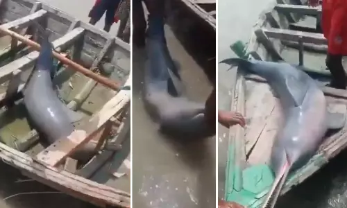 Bihar Fisherman Arrested After Dolphin Catch Video Goes Viral Bihar Fisherman Arrested After Dolphin Catch Video Goes Viral