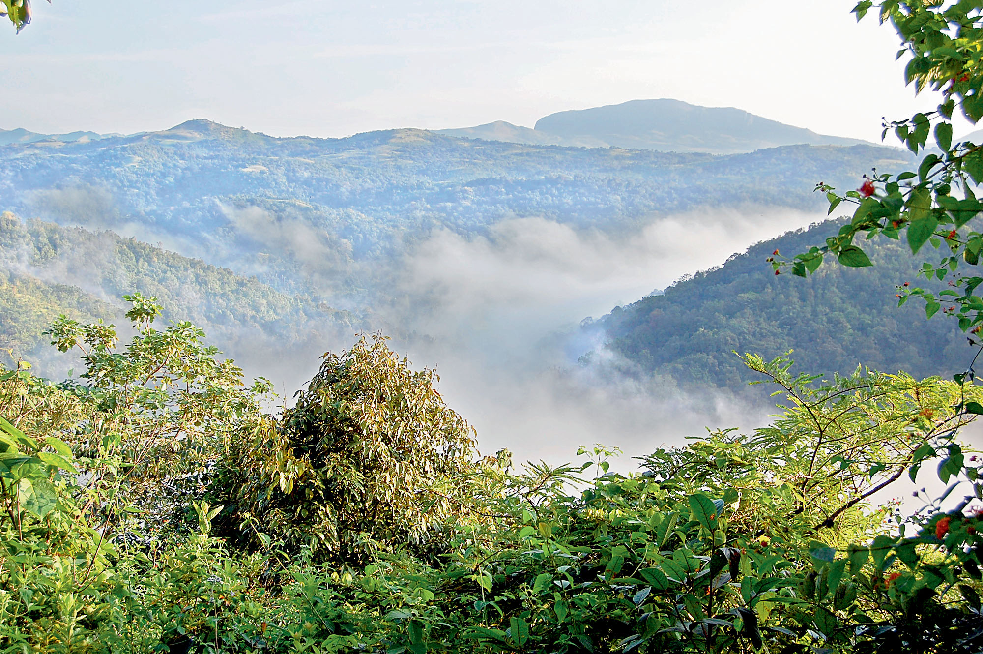 Kasturirangan Report: Karnataka Rejects Centre’s Western Ghats Plan Again