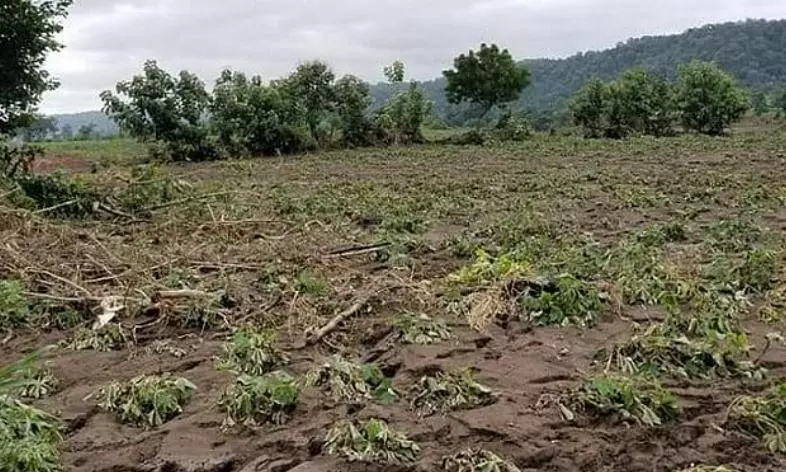 Farmers Protest Freeze on Flood Compensation Funds Farmers Protest Freeze on Flood Compensation Funds
