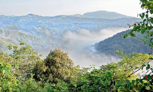 Keralam Assembly Passes Resolution Urging Centre to Accept Revised Western Ghats ESA Proposal