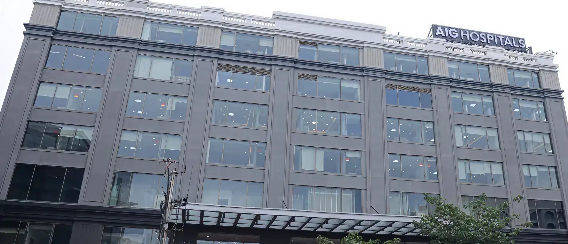 AIG’s New Lab to Study Gut Microbiome Pills for Inflammatory Bowel Disease