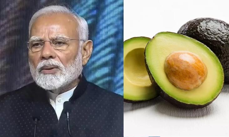 Mann Ki Baat: PM Modi Highlights Avocado Farming, 