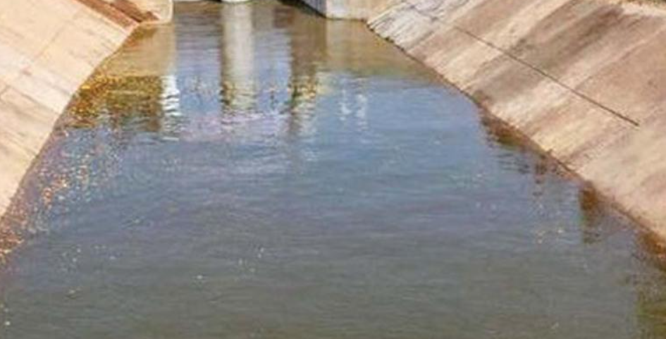 NGO’s Check Dam Sustains Farming, Tribal Life in N