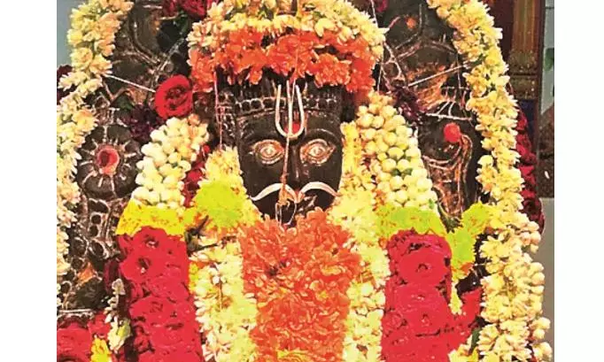 Devotees Offer Scorpions to Lord Venkateswara at Kodumuru Temple Devotees Offer Scorpions to Lord Venkateswara at Kodumuru Temple