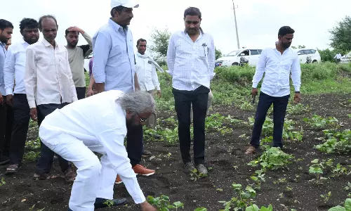 Karnataka: Drought List Sparks Protests As North Karnataka Seeks Wider Coverage