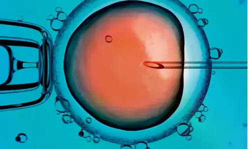 50 IVF Centres Found Flouting Rules, Nine Suspended 50 IVF Centres Found Flouting Rules, Nine Suspended