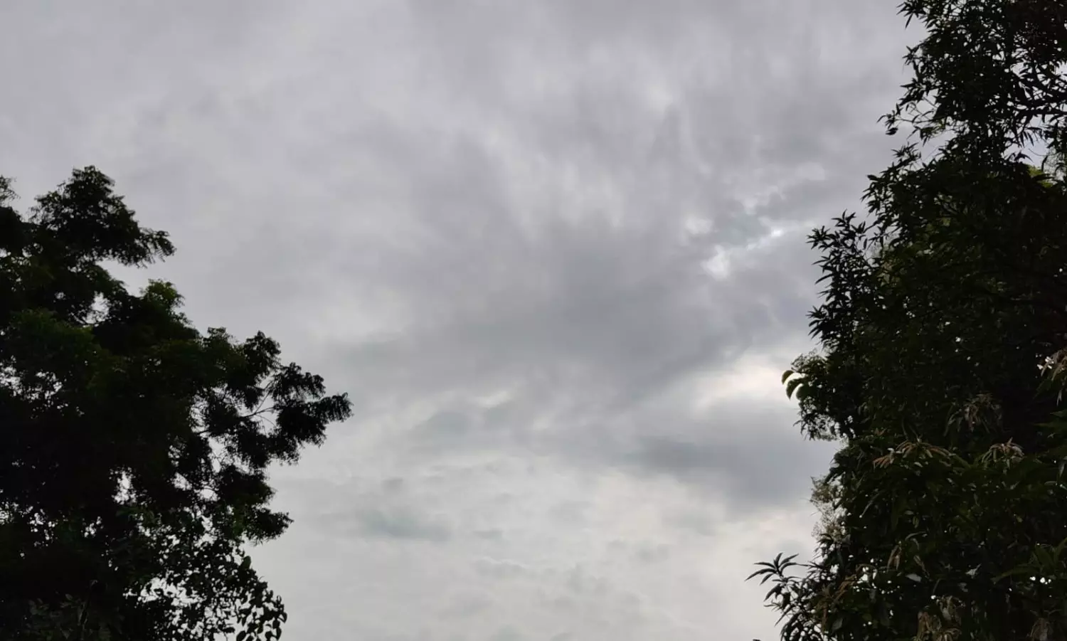 Telangana faces hot, humid conditions with scattered rain expected; moderate showers likely overnight in several districts including Hyderabad