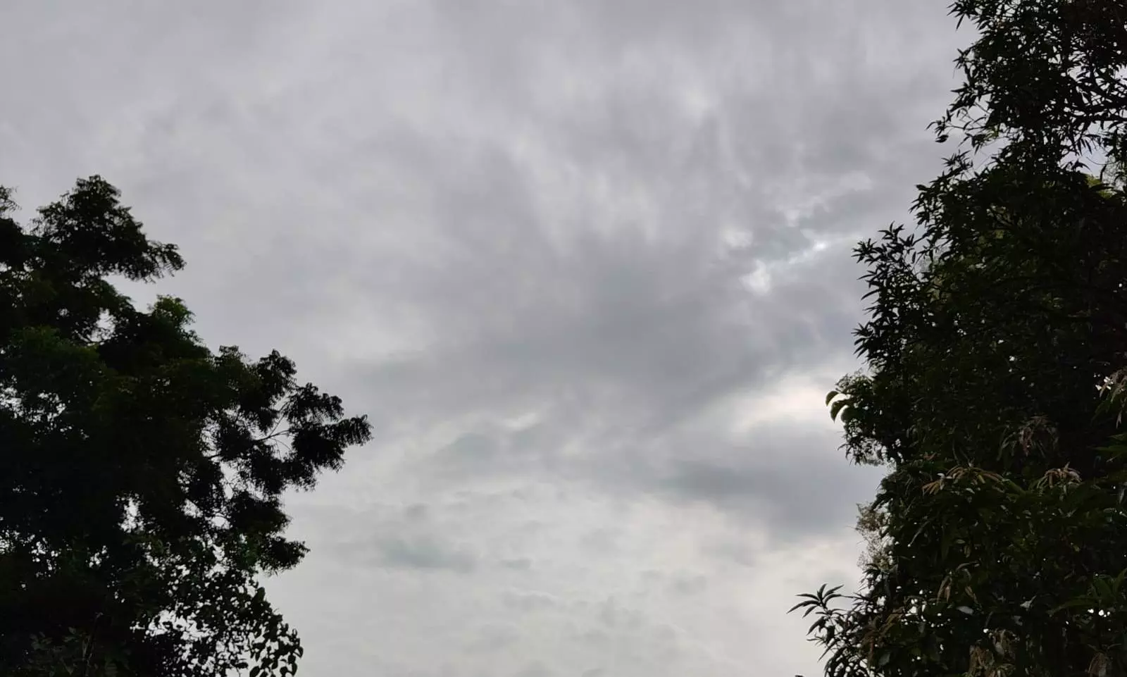 Telangana to Witness Hot, Humid Weather; Scattered Rains Likely Telangana to Witness Hot, Humid Weather; Scattered Rains Likely