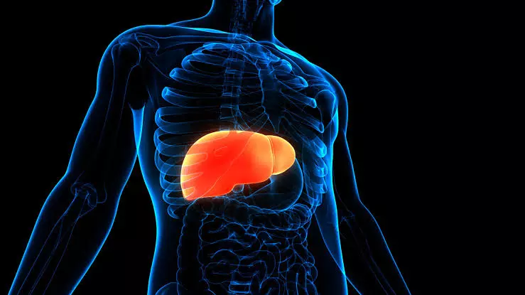 Fatty Liver, Colorectal Cancer Rise in India; Experts Urge Early Detection Fatty Liver, Colorectal Cancer Rise in India; Experts Urge Early Detection