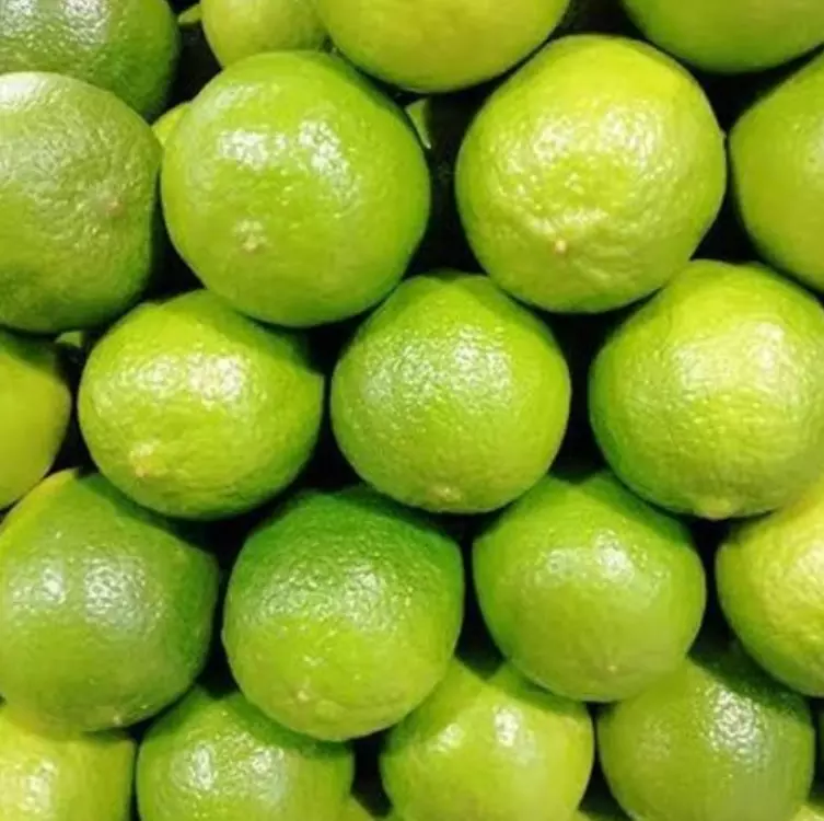 Lemon Prices Soar to Rs 16,000 per 80-kg Bag, but Farmers Have Little To Sell Lemon Prices Soar to Rs 16,000 per 80-kg Bag, but Farmers Have Little To Sell