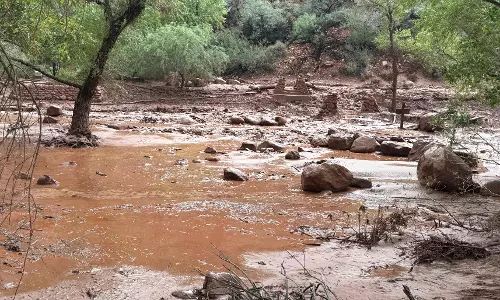 More Storms Possible After Grand Canyon Flood Kills Two