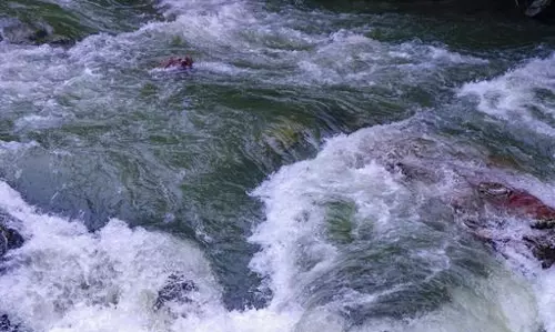 Three Stranded In Kalanuthala Stream Rescued After Overnight Ordeal Three Stranded In Kalanuthala Stream Rescued After Overnight Ordeal