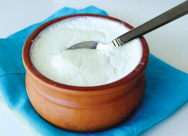 Why South India Is Becoming India’s Protein-Smartest Region