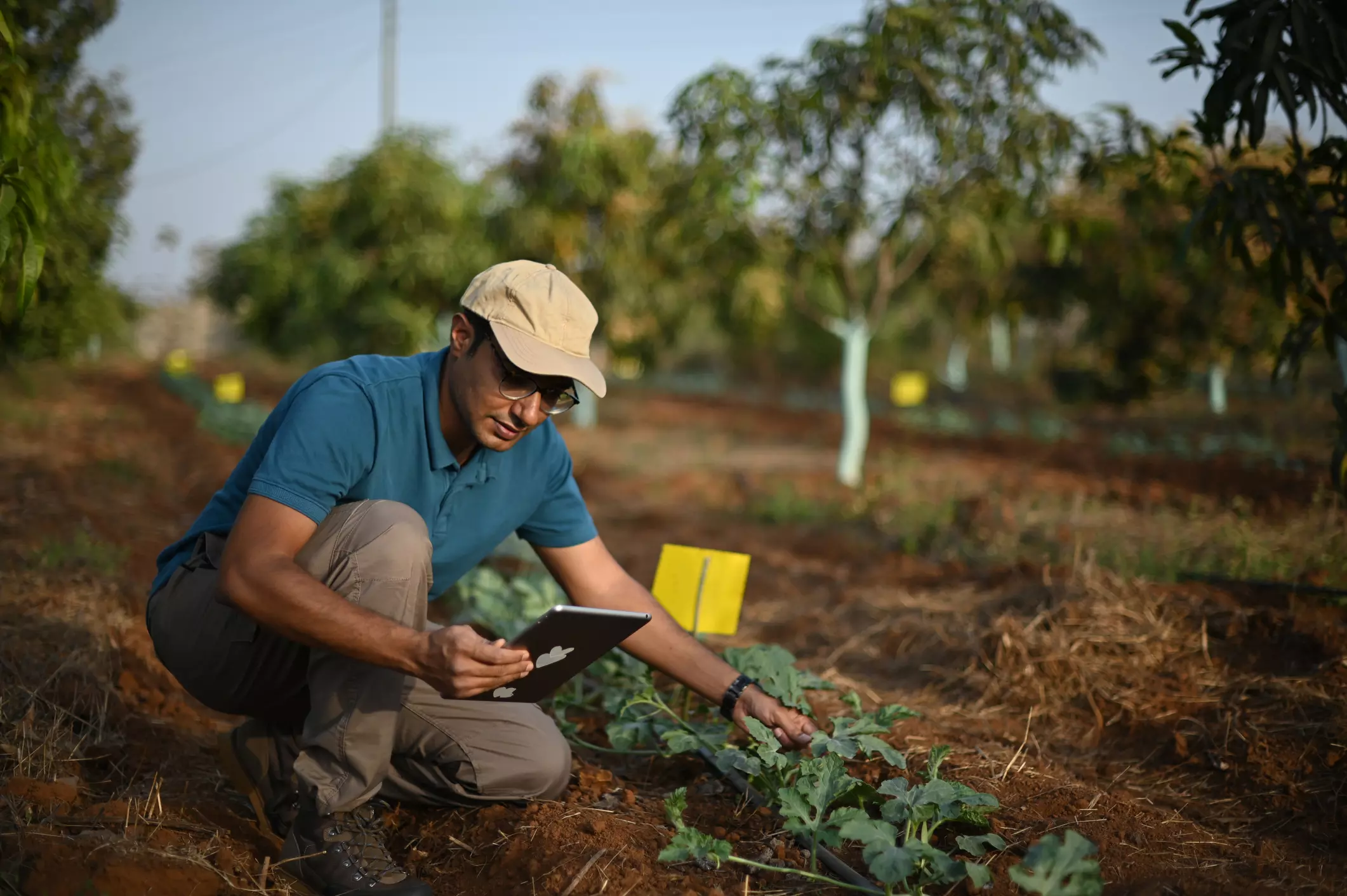 1.93 Cr Farm Fields To Be Photographed as Part of Digital Agri Survey 1.93 Cr Farm Fields To Be Photographed as Part of Digital Agri Survey