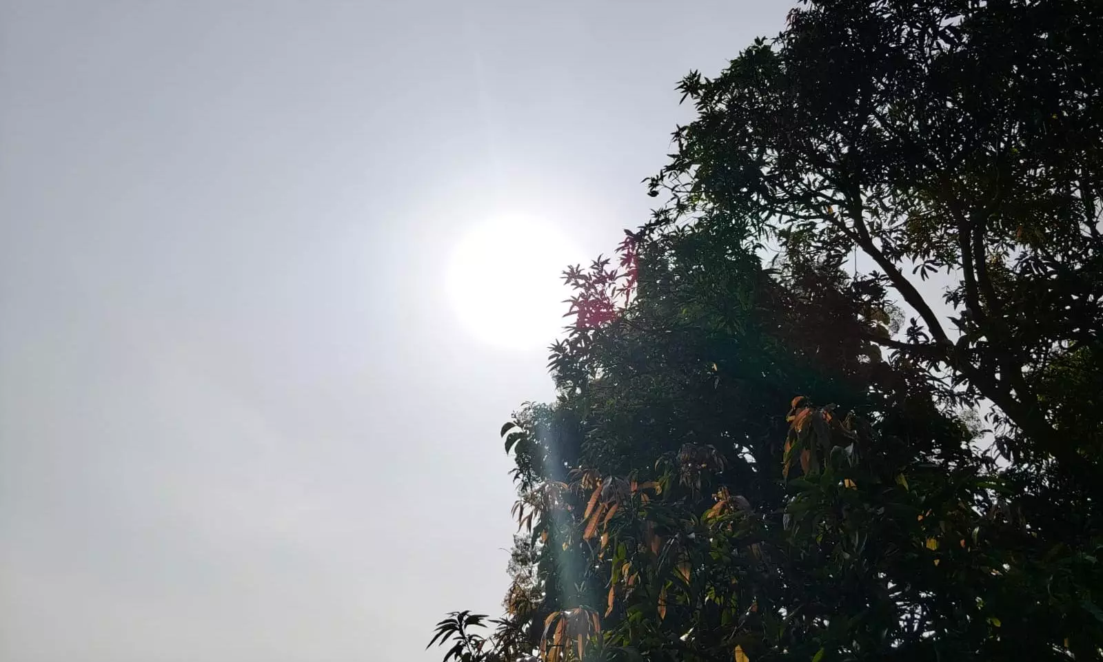 Hot, Humid Weather Likely Across Telangana Till September 12 Hot, Humid Weather Likely Across Telangana Till September 12