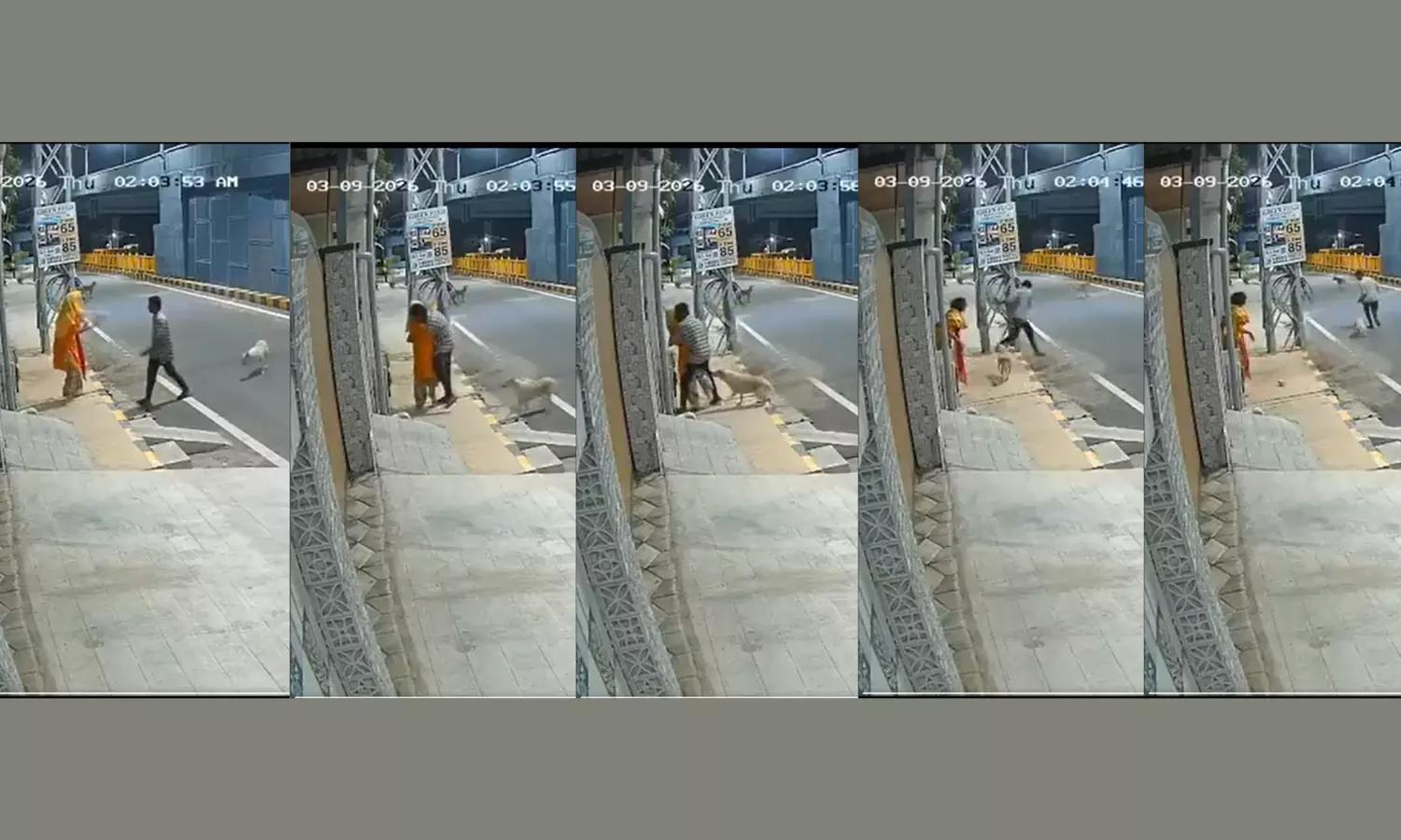 Coimbatore: Woman With Mental Disability Allegedly Assaulted, Stray Dogs Chase Away Attacker Coimbatore: Woman With Mental Disability Allegedly Assaulted, Stray Dogs Chase Away Attacker