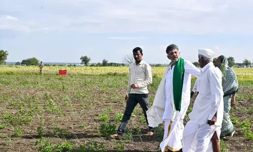 Drought Declaration: More Taluks To Be Listed in 15 Days, Says Shivakumar Drought Declaration: More Taluks To Be Listed in 15 Days, Says Shivakumar